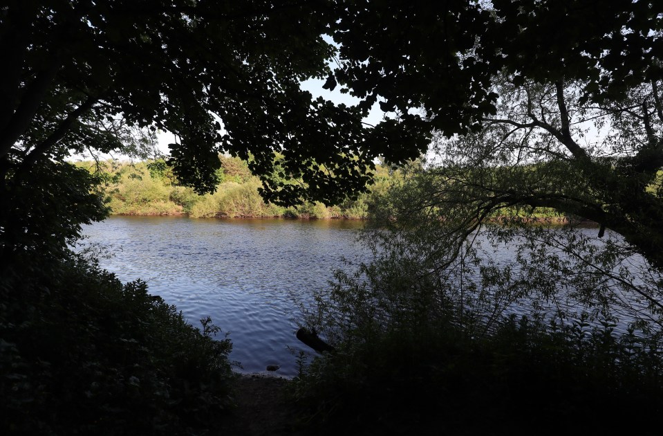 The teenage boys got into difficulty in the River Tyne near to Ovingham Bridge