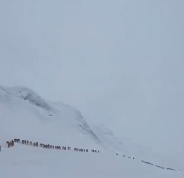 Those up top would struggle to see the end of the long line down the peak