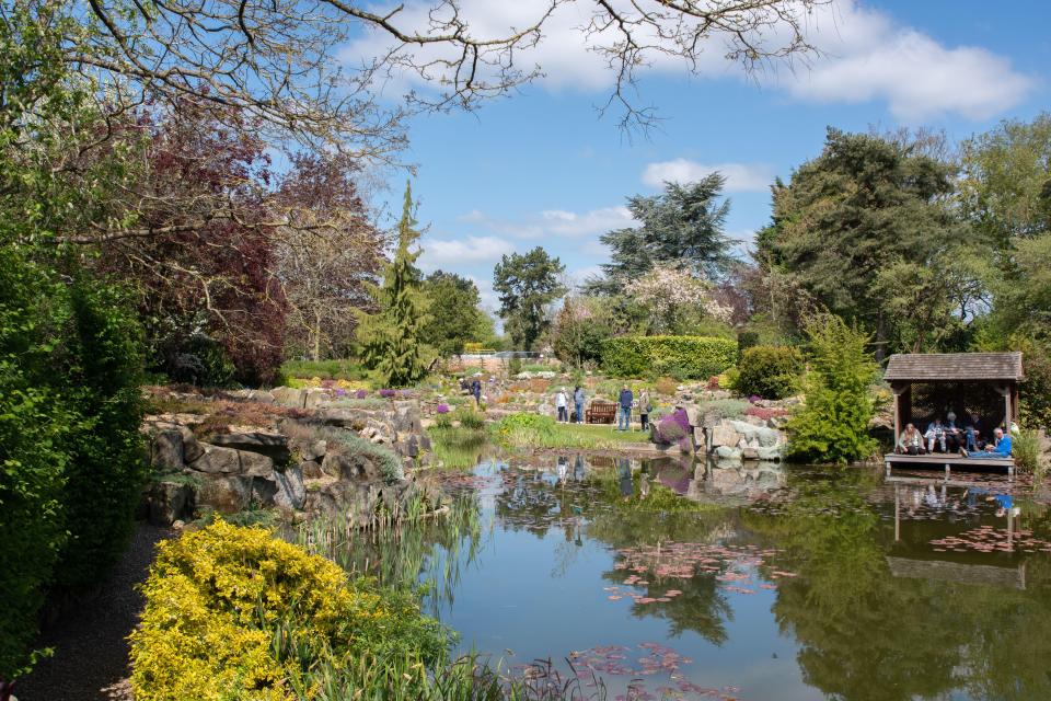 Burnby Hall Gardens is worth a visit if you're staying in Pocklington, to admire the biggest collection of hardy water lilies in Europe