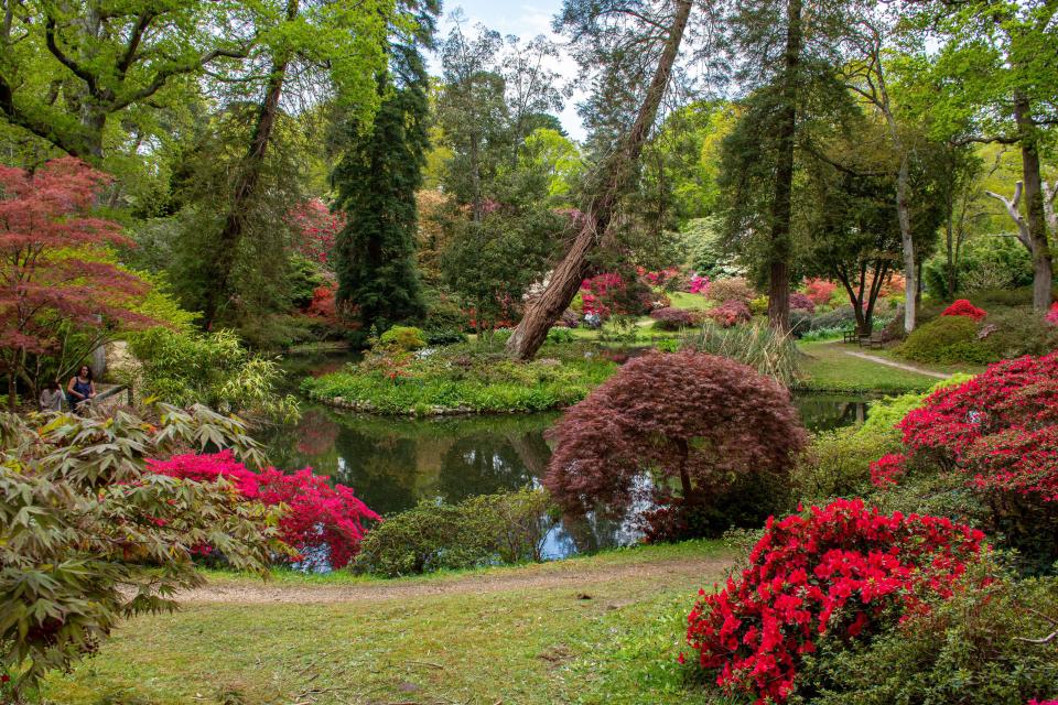 Exbury Gardens has something for the whole family - including ice-cream for four-legged friends