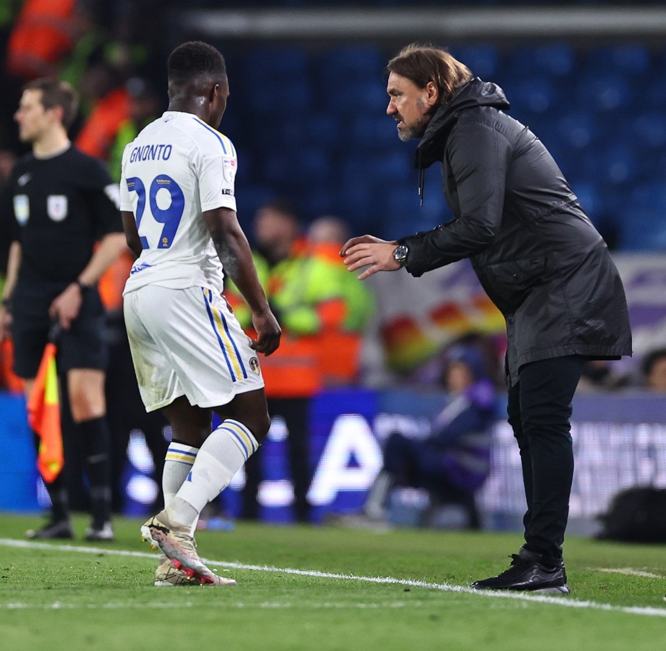 Boss Daniel Farke has regained his trust in Wilfried Gnonto