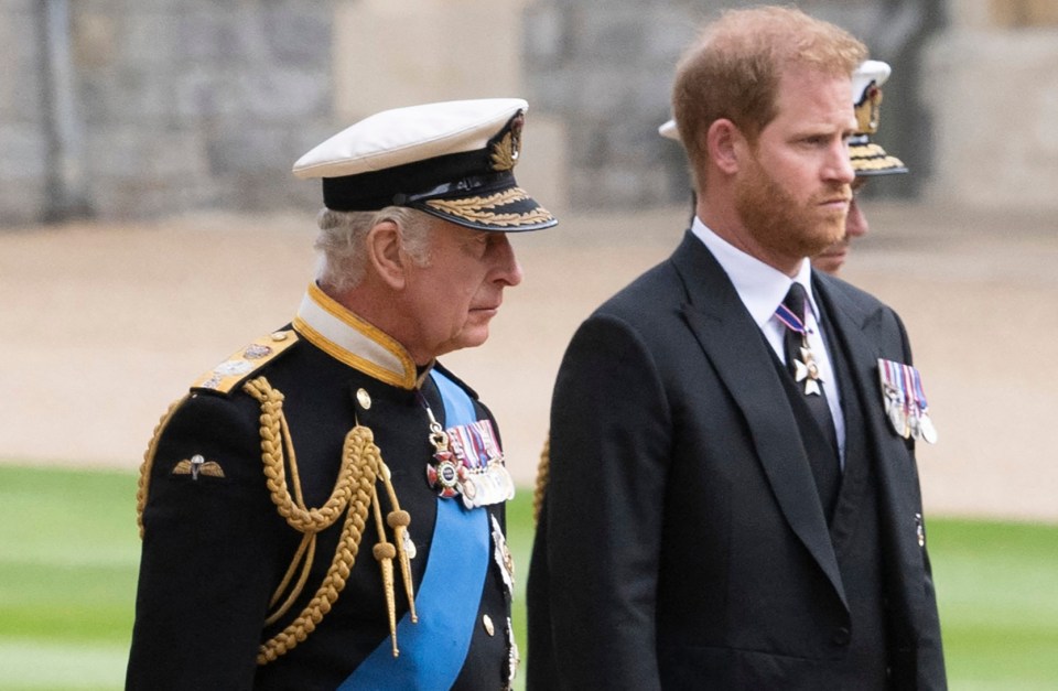 Prince Harry will not meet King Charles