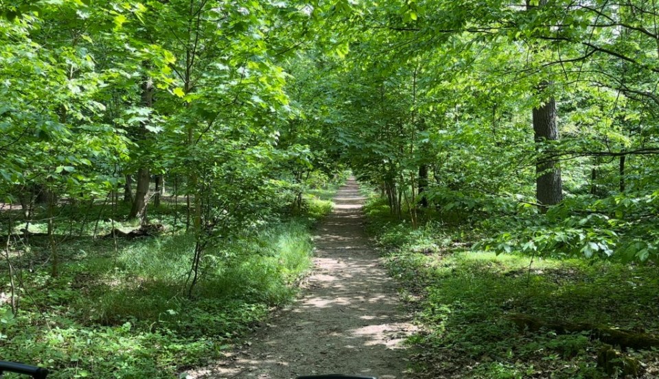 The infamous walk from Frankfurt Stadion station to Deutsche Bank Park stadium is through an eerily spooky forest