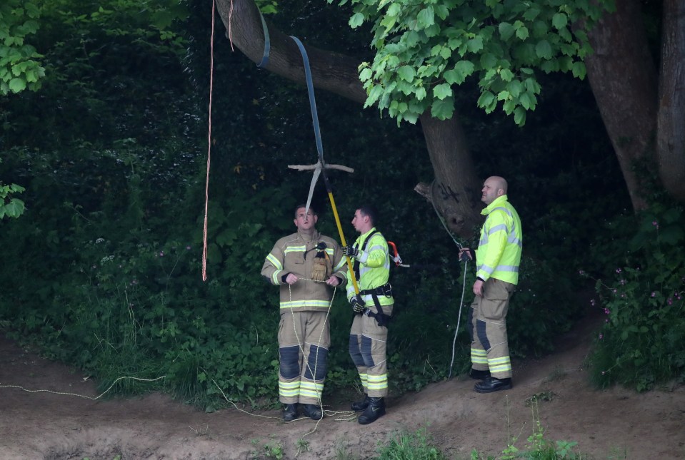 Fire crews removed the swing next to where the two boys entered the water