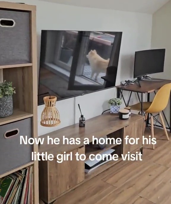 With a desk for him to work at and a TV for entertainment