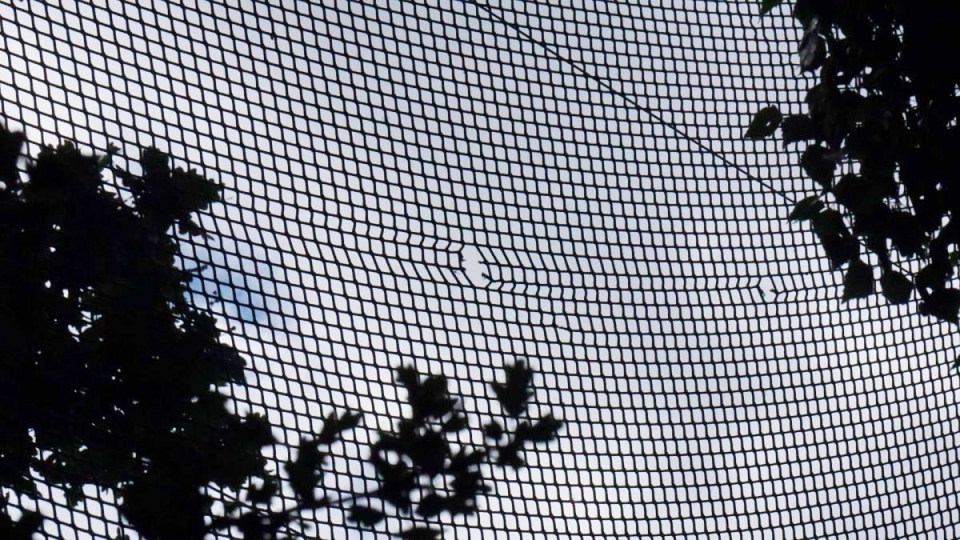 Photos of the netting around the course show it has suffered a number of large holes