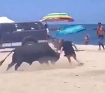 The bull then charges at her, slamming her to the ground