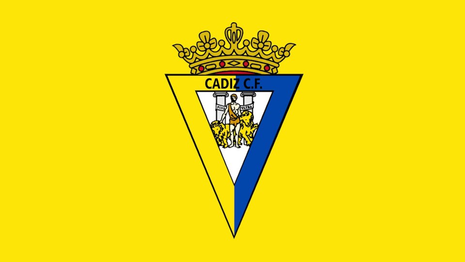 Cadiz were forced to make an emergency landing at Seville airport