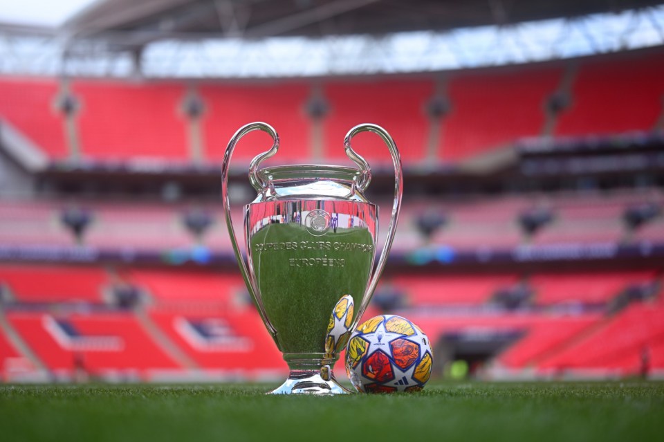 LONDON, ENGLAND - MAY 29: The official match ball is seen with the UEFA Champions League Trophy at Wembley Stadium ahead of the UEFA Champions League 2023/24 final match between Borussia Dortmund v Real Madrid CF at Wembley Stadium on May 29, 2024 in London, England. (Photo by Michael Regan - UEFA/UEFA via Getty Images)