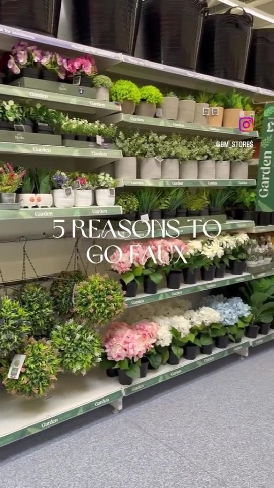 B&M currently has a range of faux plants, and people are snapping them up