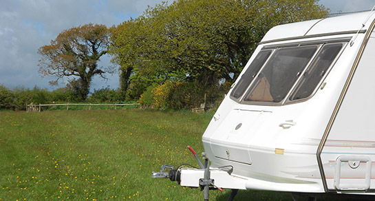 Little Trenarrett boasts views across Bodmin Moor and holidaymakers pitch up on a wildflower meadow