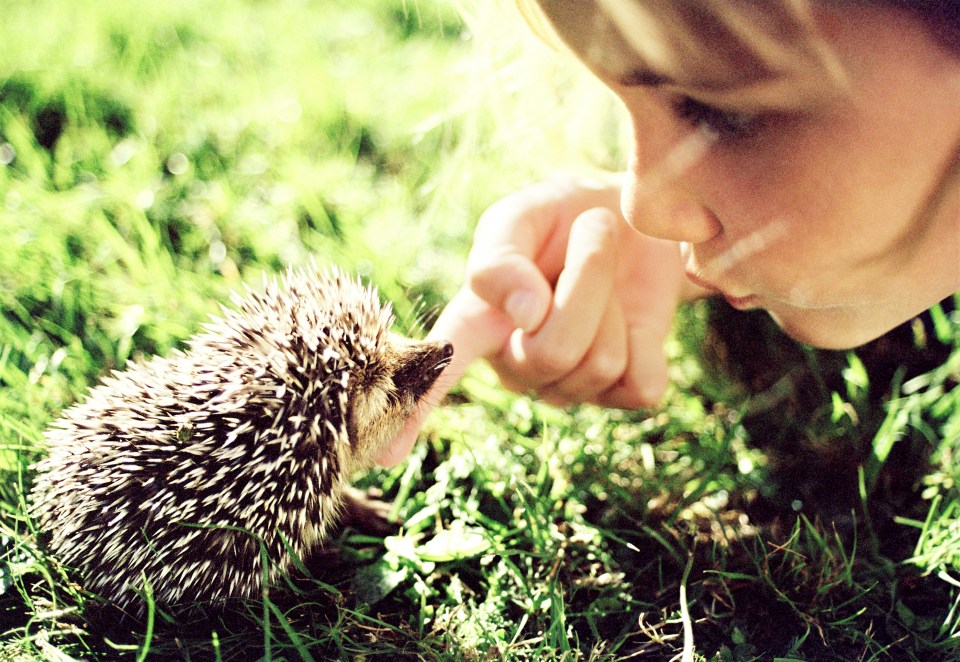 Being in nature makes 87 per cent of children 'very happy'