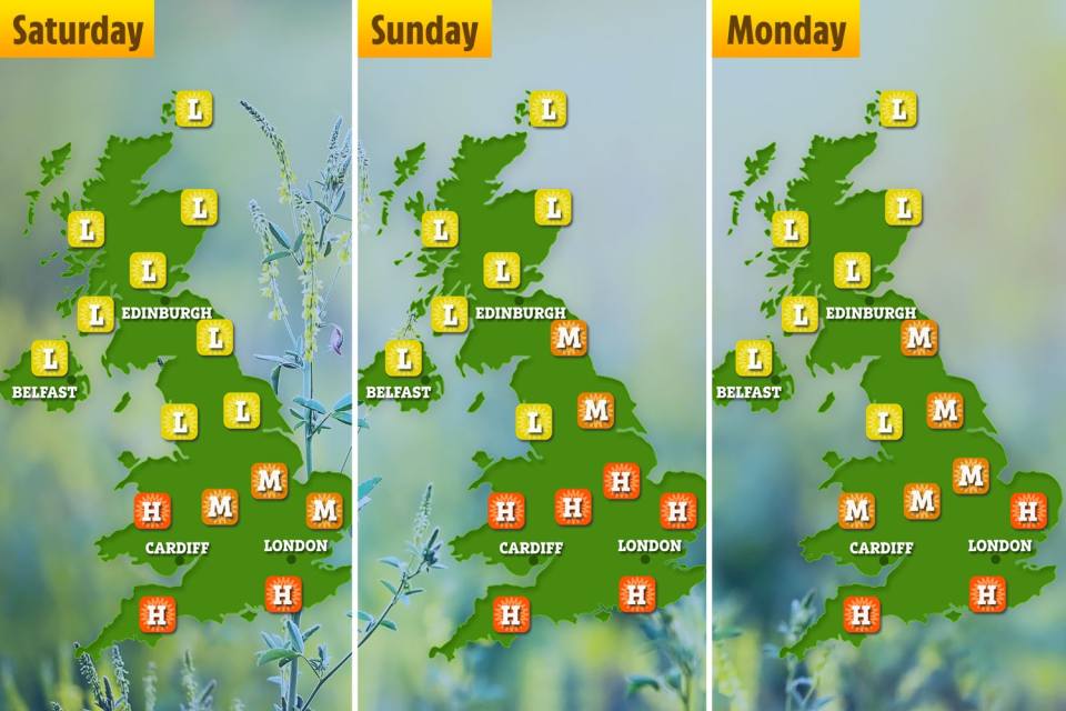 High pollen counts are expected to hit parts of the UK this weekend, according to the Met office