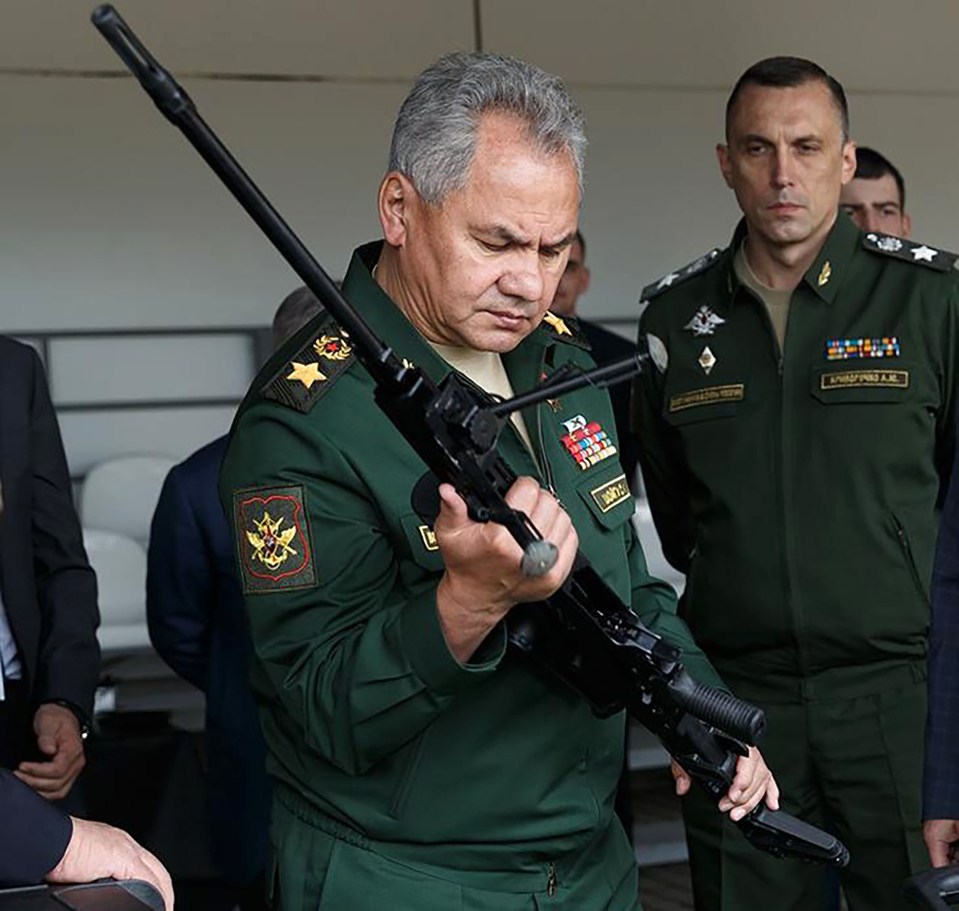 Shoigu had been defence minister since 2012 and has now been shunted to the senior, but less prominent role of secretary of the Security Council