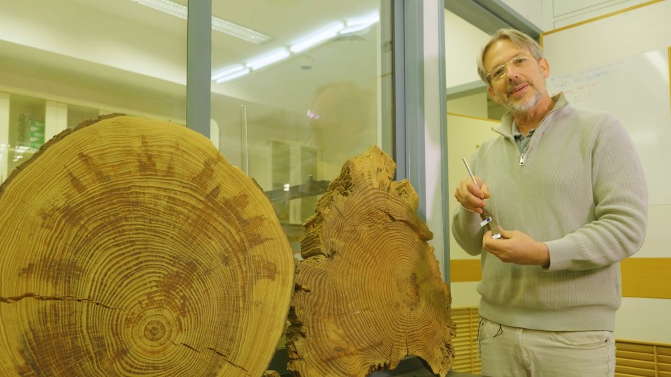 Carbon dating was impossible until researchers used old tree rings from Europe to trace isotope fluctuation