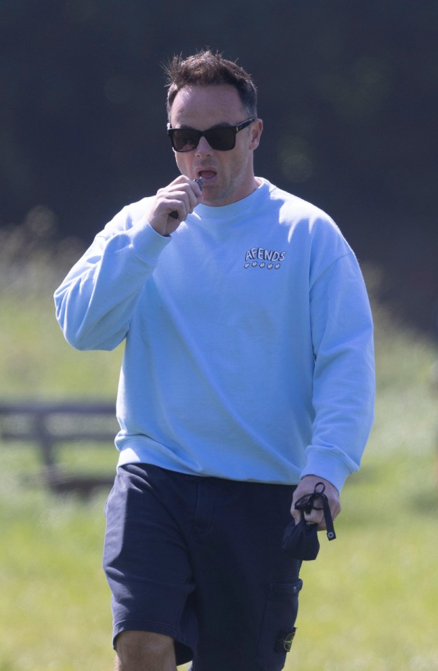 The star was seen puffing on a vape as he walked the dogs yesterday