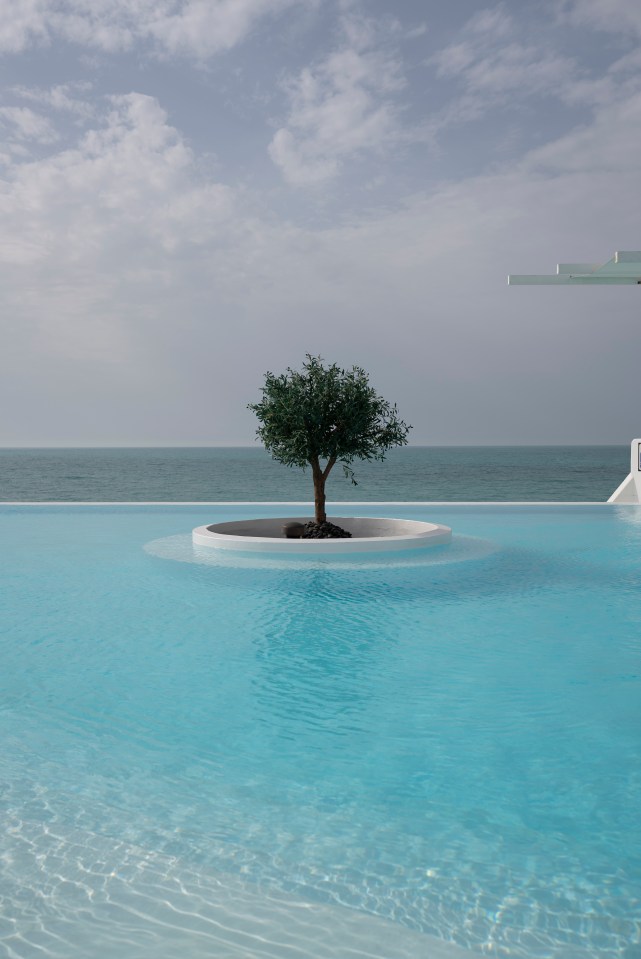 The property even has an olive tree inside the infinity pool, a great tribute to Greece