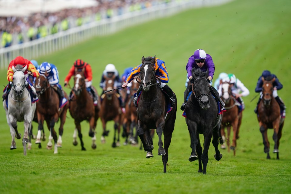 The Epsom Derby is one of the most esteemed horseracing competitions