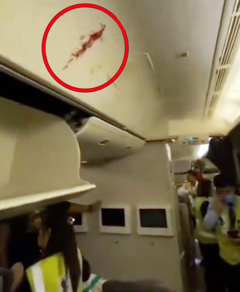 Blood was seen on the ceiling of the jet after the horror flight