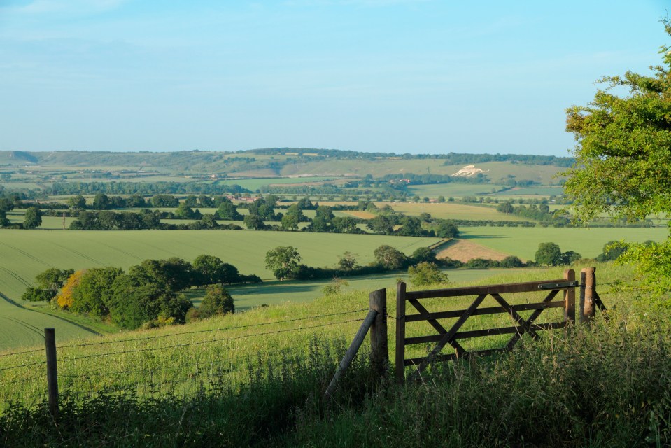 Just a 20-minute drive from Aylesbury is the stunning Chiltern Hills, perfect for walks