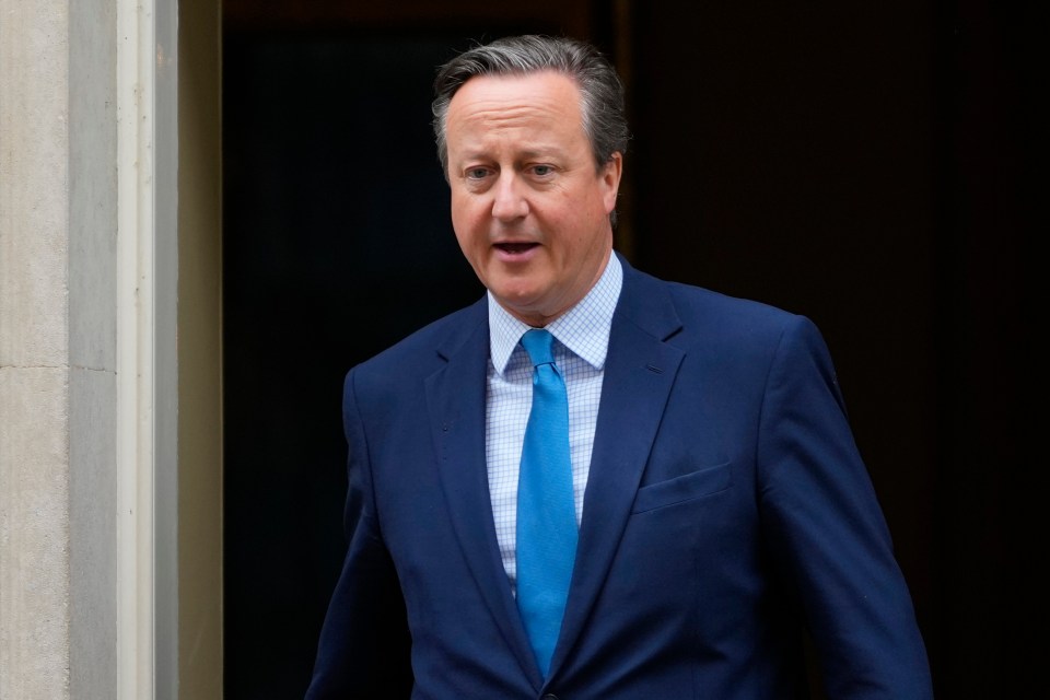 Lord Cameron led an internal Cabinet rift over a harder crackdown