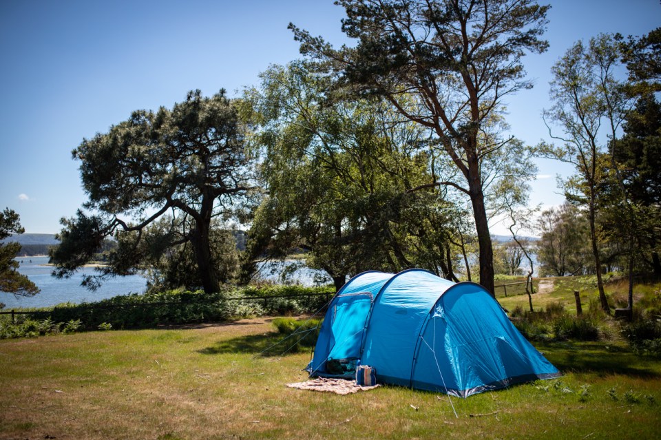 Brownsea Island off the coast of Dorset is one of our top picks for seaside camping