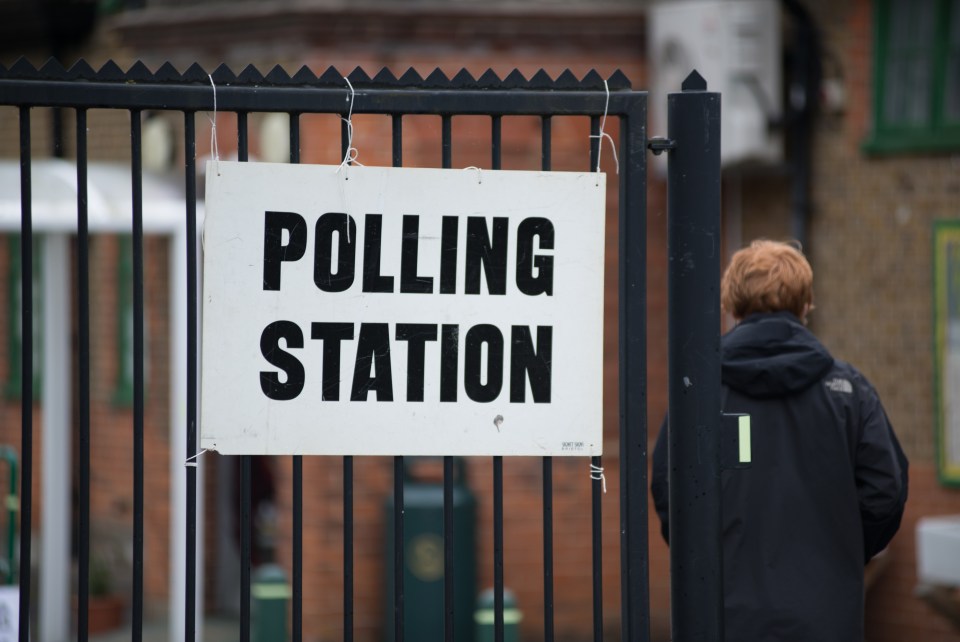 Millions will go to the polls in the General Election on July 4