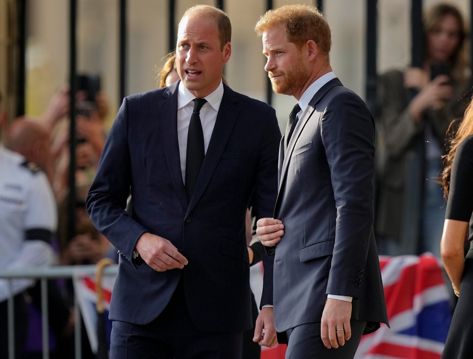 Harry did not meet his brother Prince William