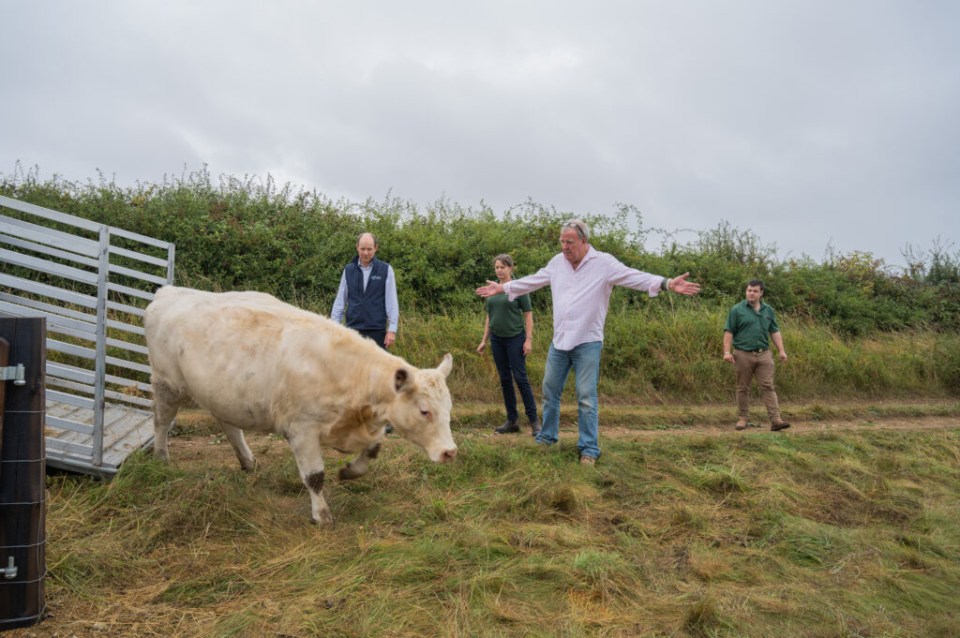 Clarkson’s cow, who he feared would be slaughtered because she had not conceived, had got pregnant at the 11th hour