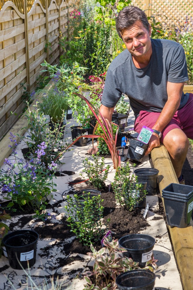 Designed Anthony Henn with his brilliant Garden on a Roll