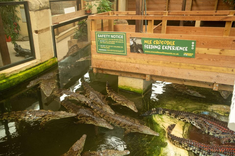 Nearby attractions include Crocodiles of the World, where you can take part in their feeding experience