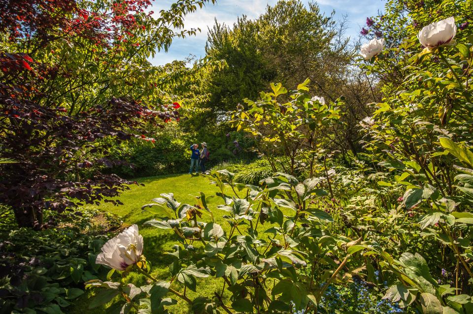 Highdown Gardens is a unique chalk garden located on the western edge of Worthing