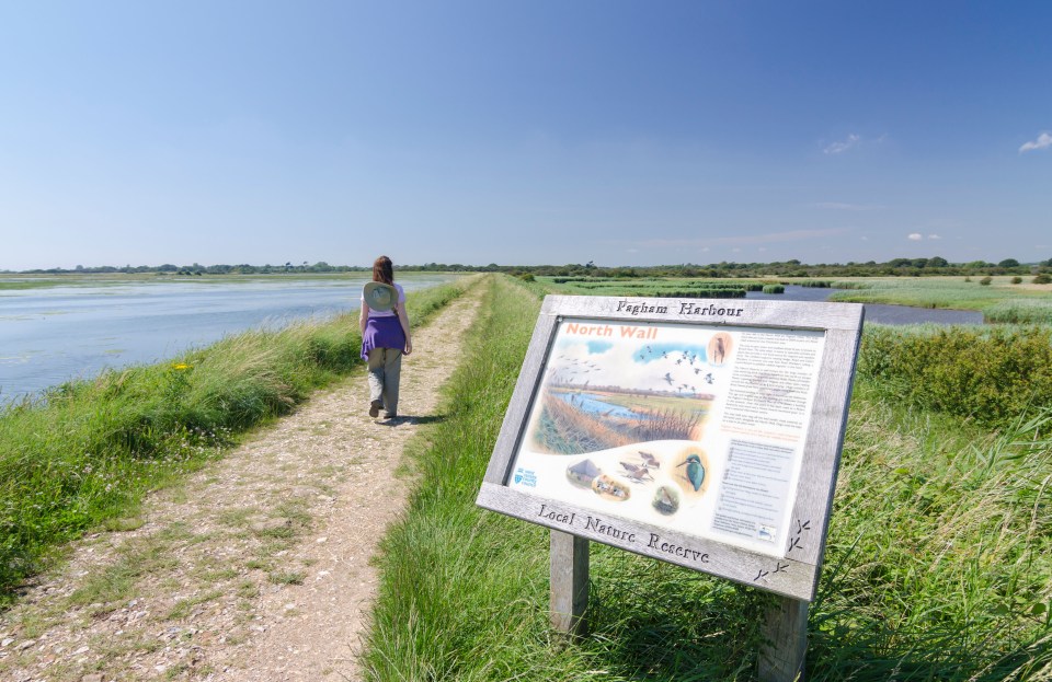 Pagham is most famous for its harbour - a nature reserve enjoyed by bird and walkers