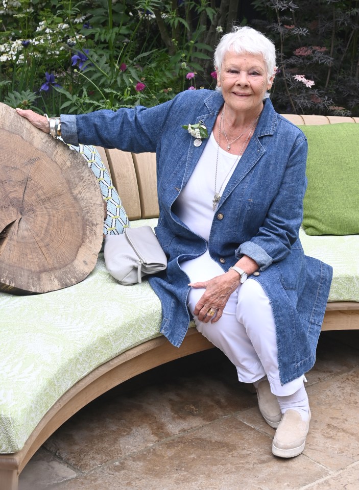 Dame Judi Dench some gaffes she made due to her failing eyesight