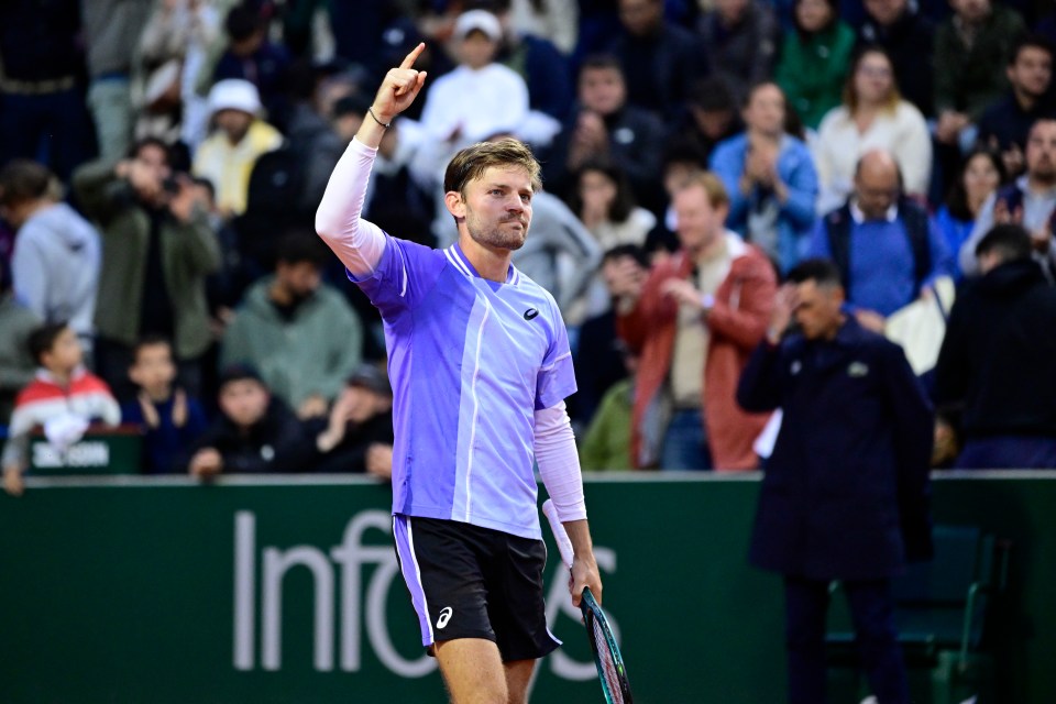 David Goffin warned tennis could be hit by hooliganism