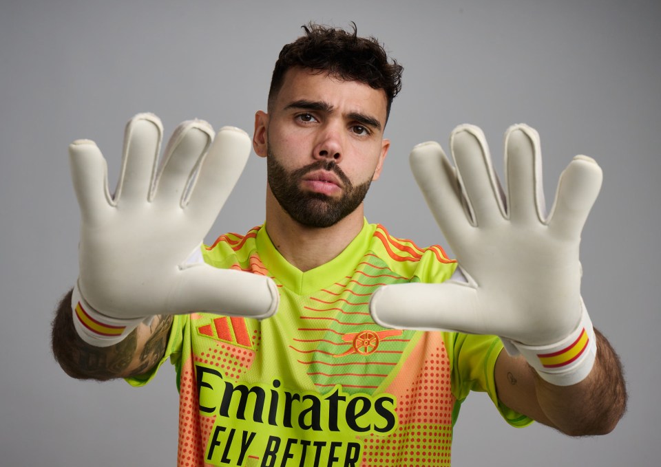 Raya amassed 20 clean sheets in 2023/24