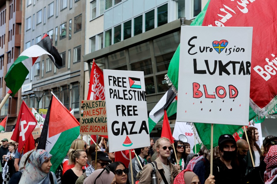 Demonstrators hold flags and signs including one which reads: 'Free Palestine, free Gaza'