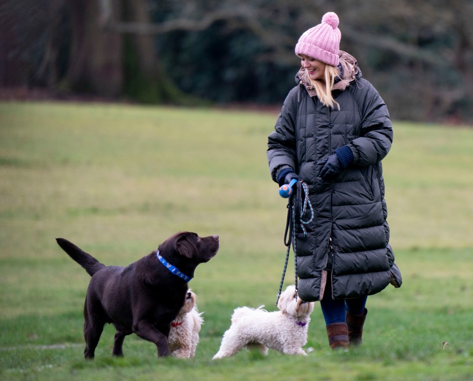 Anne-Marie walking Hurley with her other pups