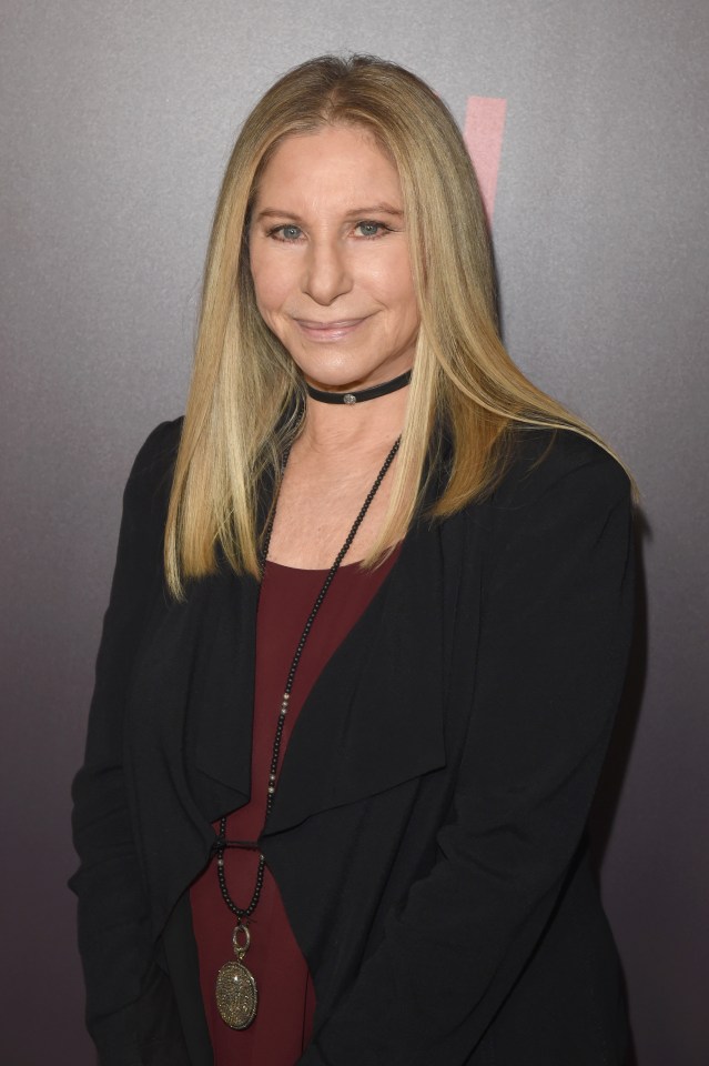 Barbra Streisand posted a public comment that clearly wasn’t meant for all to see