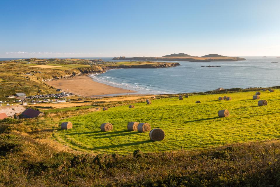 Trellyn Woodland Camping is in a woodland valley, with pathways to the beach at St Davids in Pembrokeshire