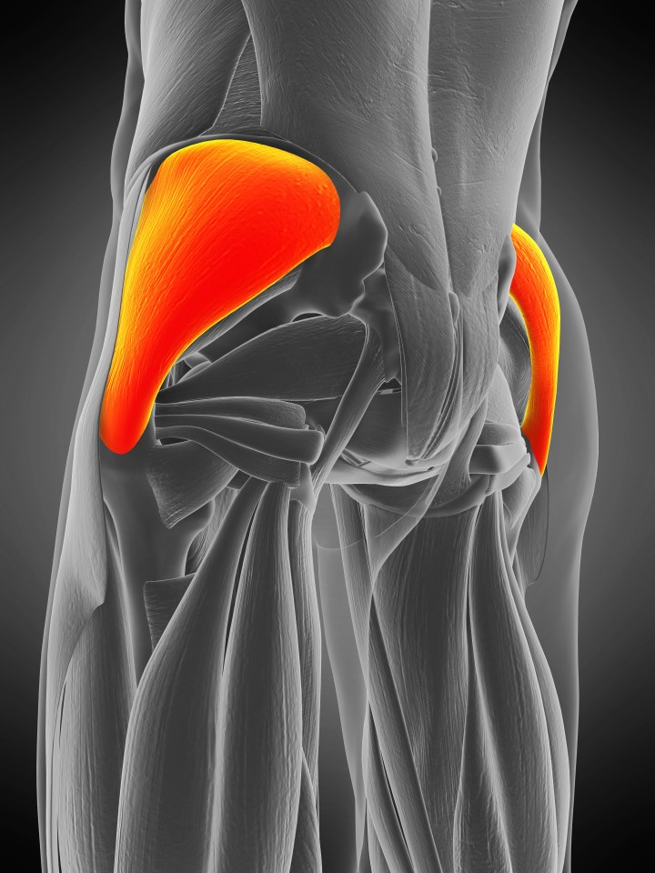 All these exercises target the gluteus medius muscle, while squats, lunges and deadlifts tend to work the underside, the gluteus maximus