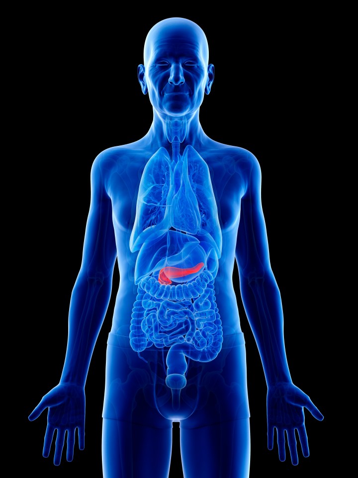 An estimated 415million people worldwide have diabetes, which affects the pancreas (pictured)