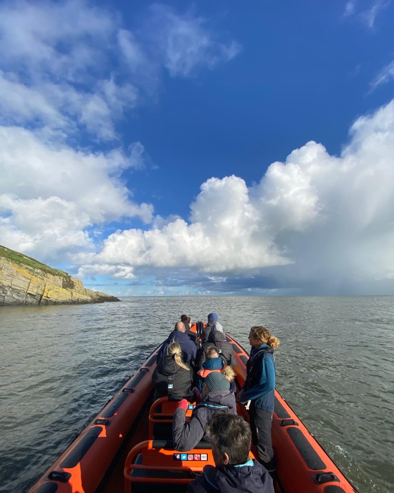 A Bay to Remember offers 1.5 hour boat trips that cover up to 20 miles to see the dolphins