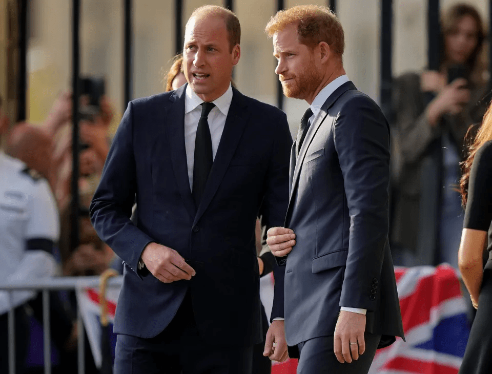 Harry will not meet his brother Prince William on his visit