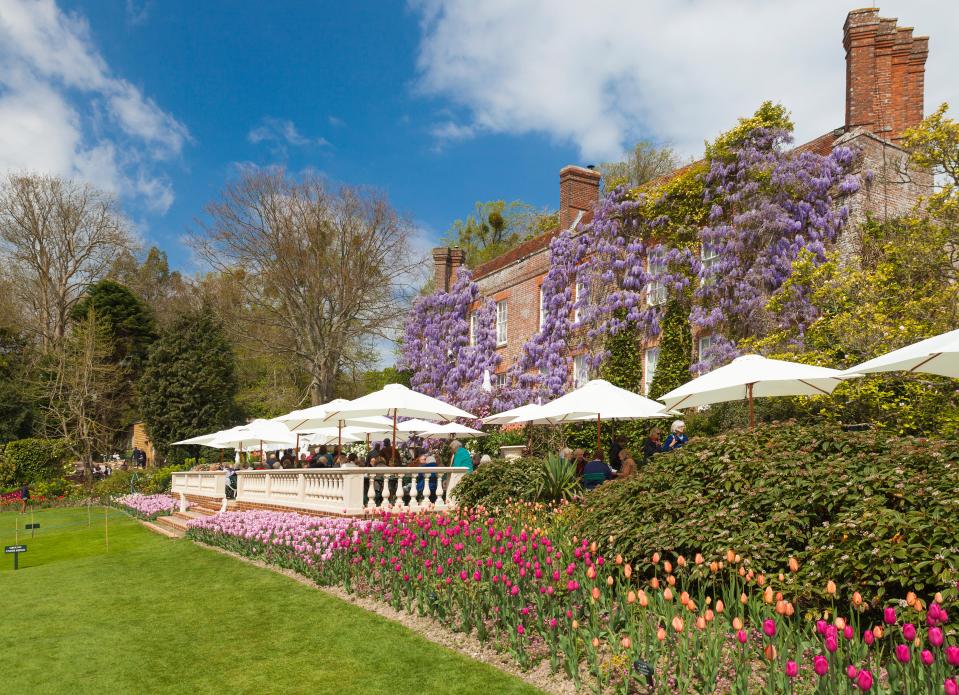 Pashely Manor Gardens in Ticehurst has annual tulip and dahlia festivals within its beautiful grounds