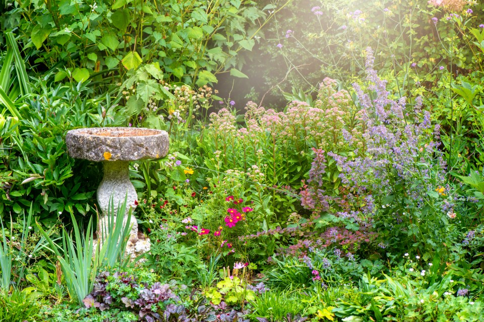 Find out if YOU are guilty of these six common mistakes that make your garden look cheap