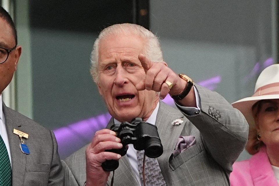 King Charles watches his horse Treasure in the Oaks before she faded to finish second-last