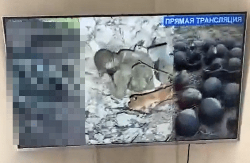 The moment Russian smart TVs showing the parades were seemingly hacked with grim pictures showing the reality of the war