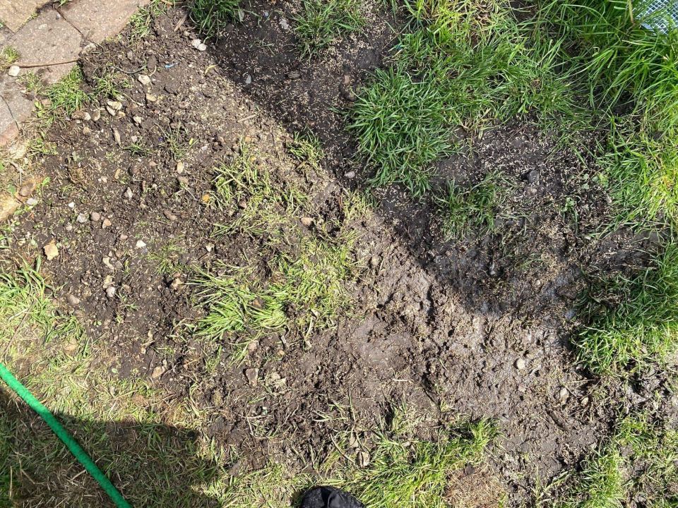 One woman shared the £1 bargain buy that transformed her lawn