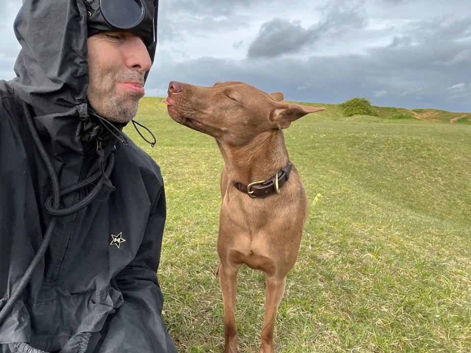 Liam was spotted enjoying walks with his rescue dog, Buttons